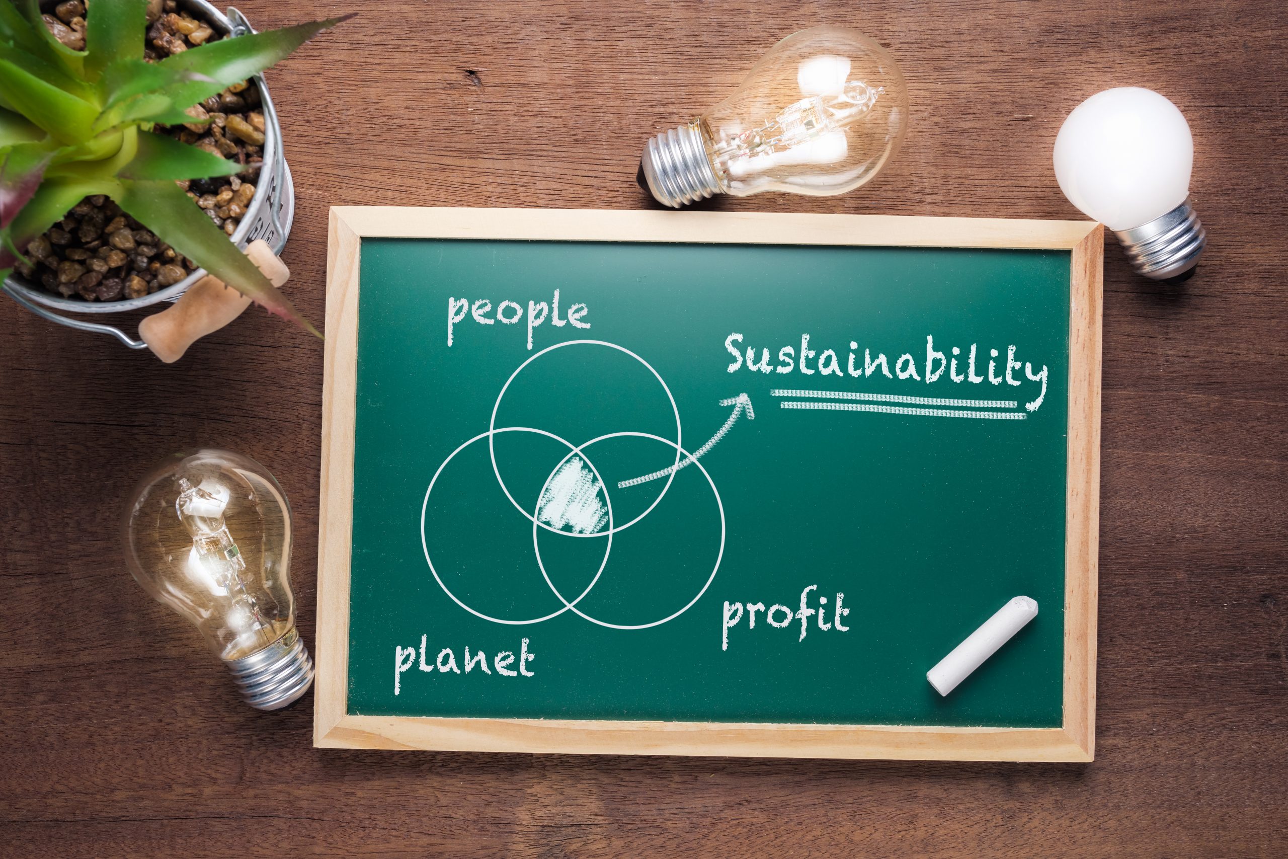 Sustainable-Packaging-scaled Sustainable-Packaging-scaled